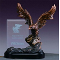 Eagle Defense Award with Glass Plaque. 10"h x 7"w.